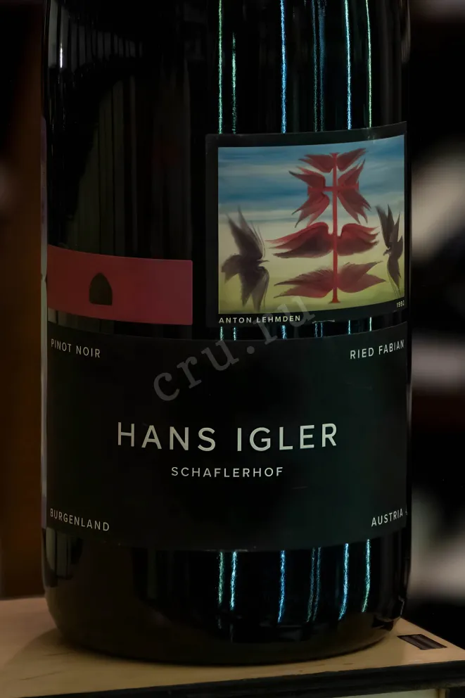 В магазине Крю Профи Hans Igler Pinot Noir Ried Fabian 2018 0.75 л