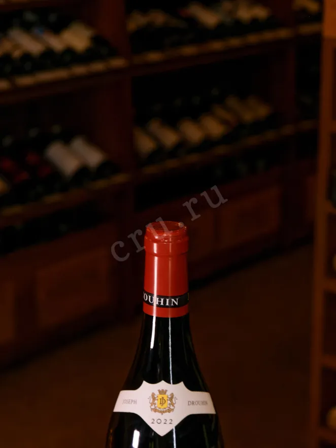 Пробка Montagny Premier Cru 2020 0.75 л