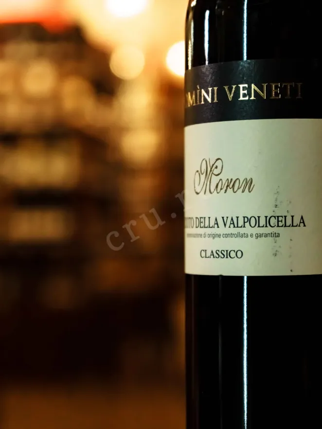 В магазине Крю Профи Domini Veneti Recioto della Valpolicella Classico Vigneti di Moron 2019 0.5 л