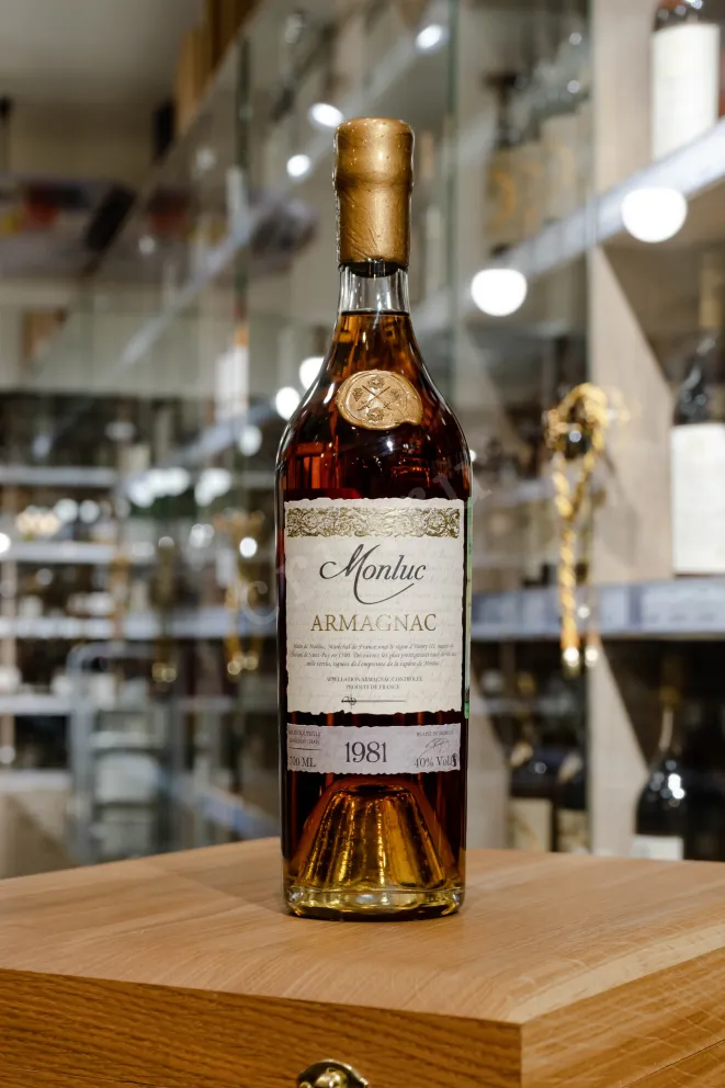 В магазине Крю Профи Monluc 1981 0.7 л