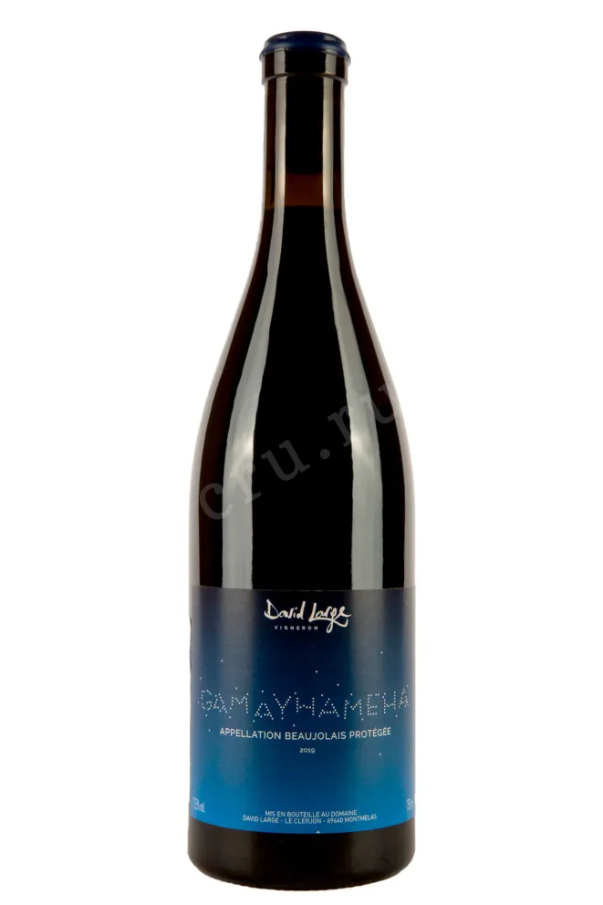 Вино Gamayameha David Large 2019 0.75 л