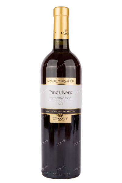 Вино Mastri Vernacoli Pinot Nero 2019 0.75 л