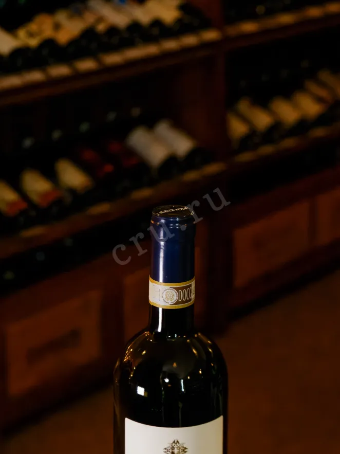 Пробка Barbera d’Asti Leradici 2020 0.75 л