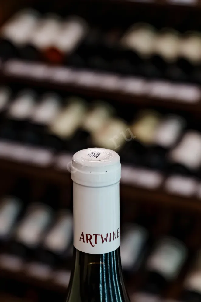 Пробка Artwine Saperavi Muscat 2023 0.75 л