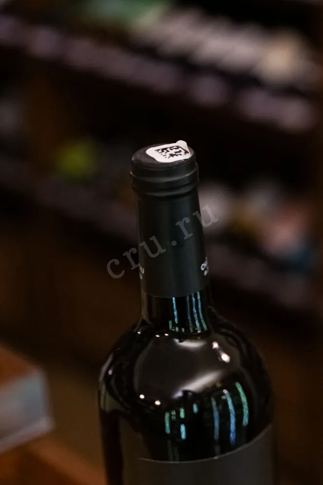 Пробка Chateau de Talu Shiraz 2024 0.75 л