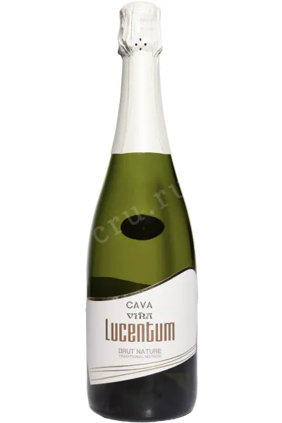 Игристое вино Garcia Carrion Lucentum Brut Natur Cava DO 2023 0.75 л