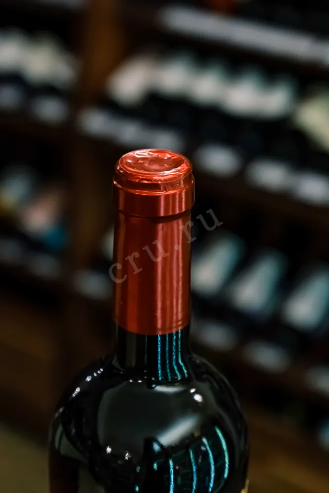 Пробка Orion Wines Terre di Faiano Primitivo 2025 0.75 л