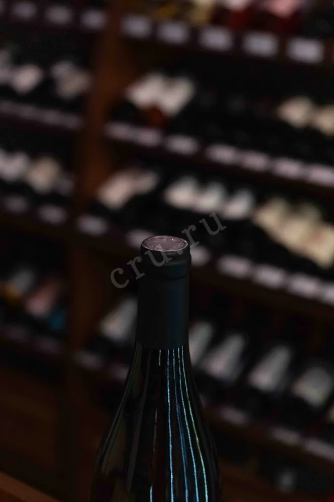Пробка Savary Chablis 2022 0.75 л