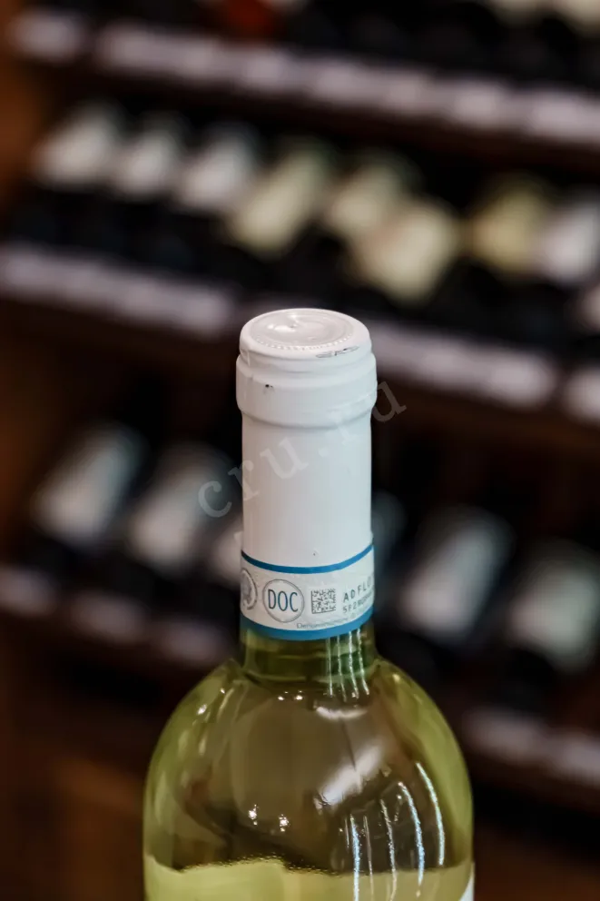 Пробка Gaetano Pinot Grigio Delle Venezie DOC 2024 0.75 л