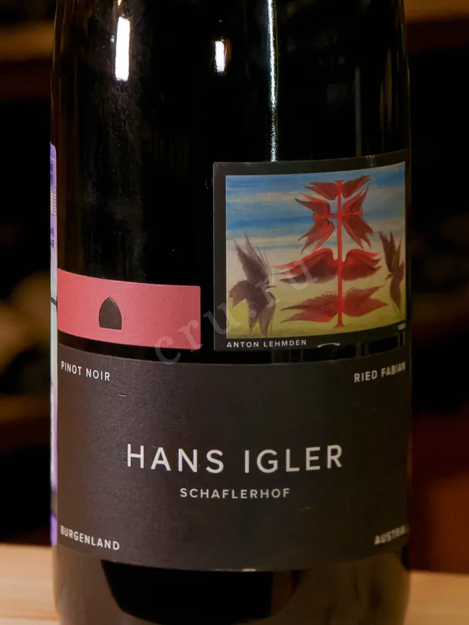 В магазине Крю Профи Hans Igler Pinot Noir Ried Fabian 2018 0.75 л