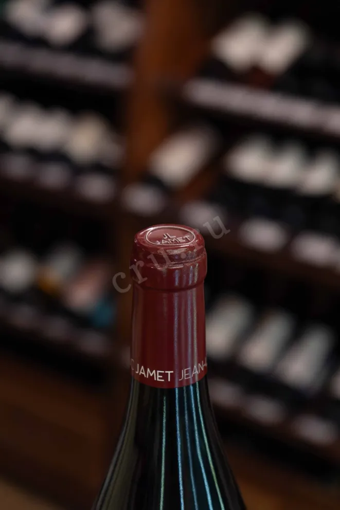Пробка Domaine Jean-Luc Jamet Schistes Pinot Noir Collines Rhodaniennes 2019 0.75 л