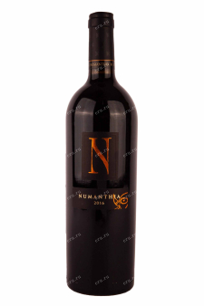 Вино Numanthia Toro 2016 0.75 л