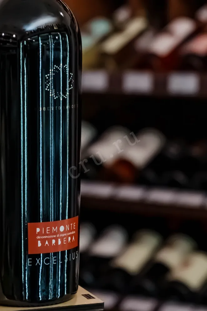 В магазине Крю Профи Roberto Sarotto Excelsius Piemonte Barbera DOC 2022 0.75 л