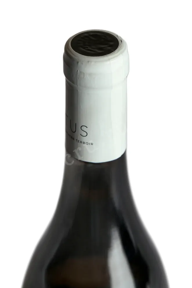 Пробка Tus Classic White Dry 2023 0.75 л