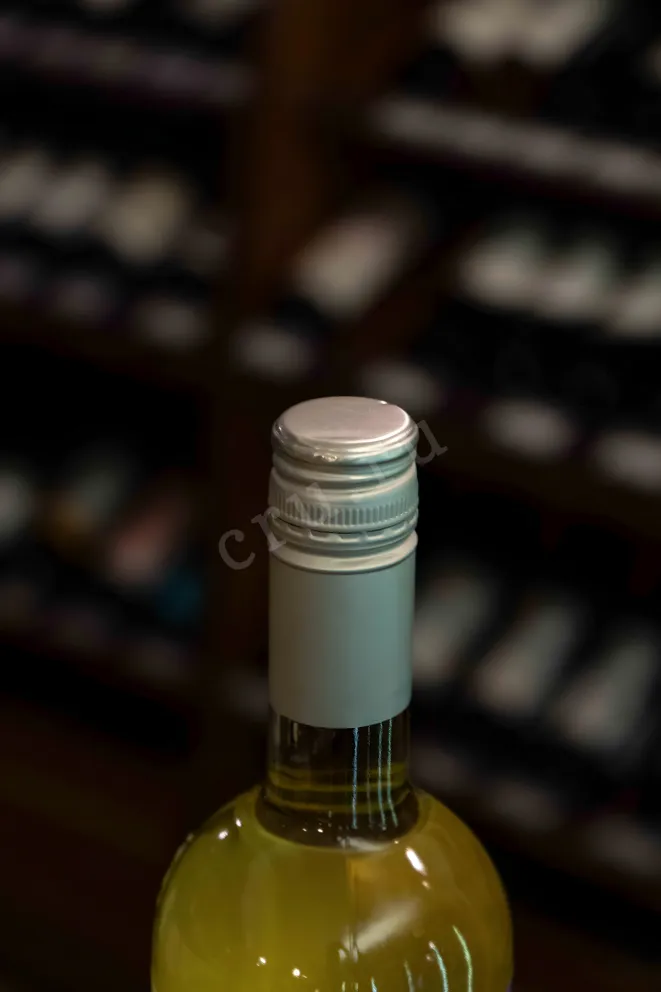 Пробка Viejo Feo Sauvignon Blan 2023 0.75 л