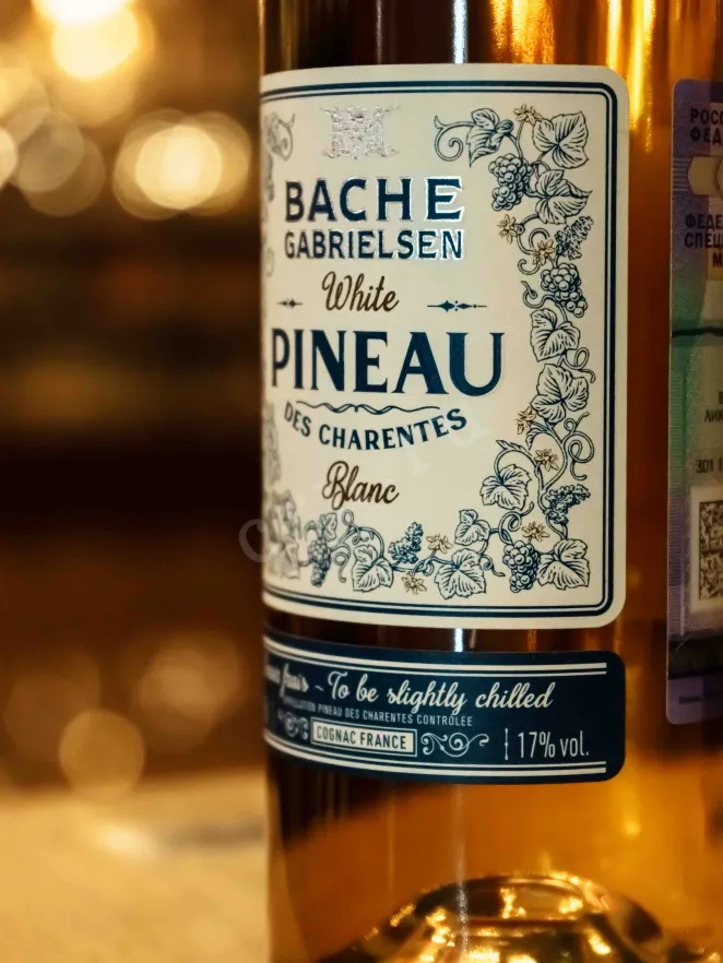 В магазине Крю Профи Bache Gabrielsen White Pineau des Charentes AOC 2022 0.75 л