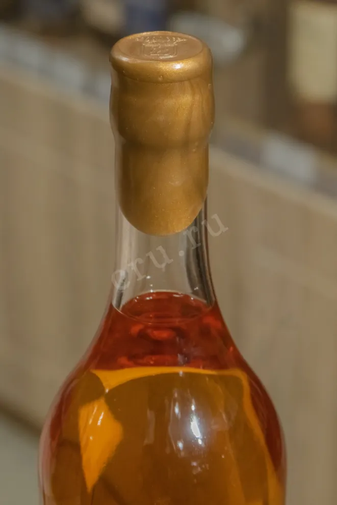 Пробка Daneil Bouju Grande Champagne Premier Cru De Cognac in gift box 1995 0.7 л