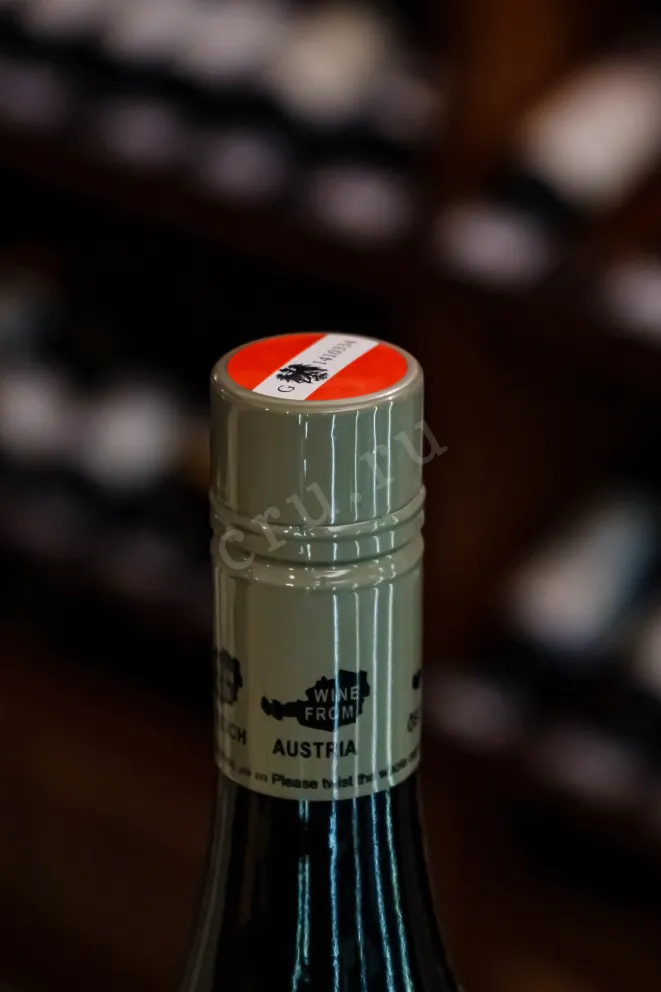 Пробка Weingut R&A Pfaffl Austrian Blackberry Zweigelt 2024 0.75 л