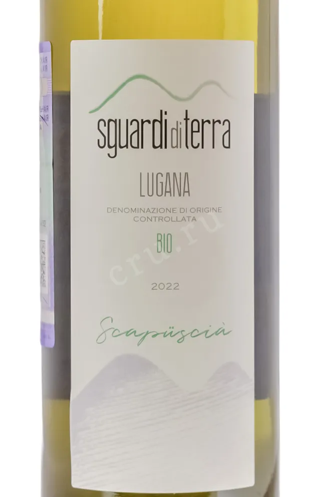 Этикетка Вино Лугана Скапуша Сгуарди ди Терра ДОК 2022г 12,5% 0,75л белое сухое Италия 2022