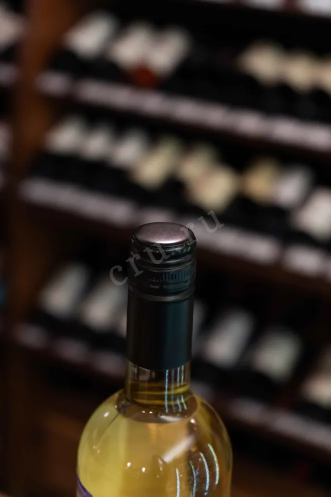 Пробка Espiritu de Chile Chardonnay 2024 0.75 л