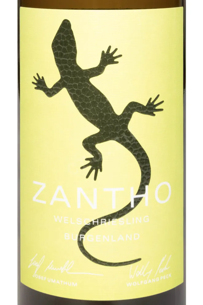 Этикетка Zantho Welschriesling 0.75 л