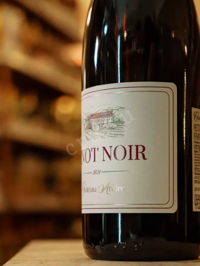В магазине Крю Профи Chateau Andre Pinot Noir 2023 0.75 л