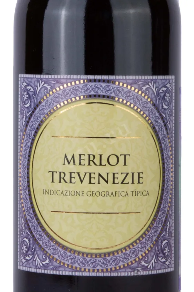 Этикетка Merlot Trevenezie 2021 0.75 л