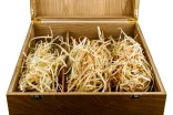 Oak case for 3 bottles Magnum N/A Extra VIP (F0885)