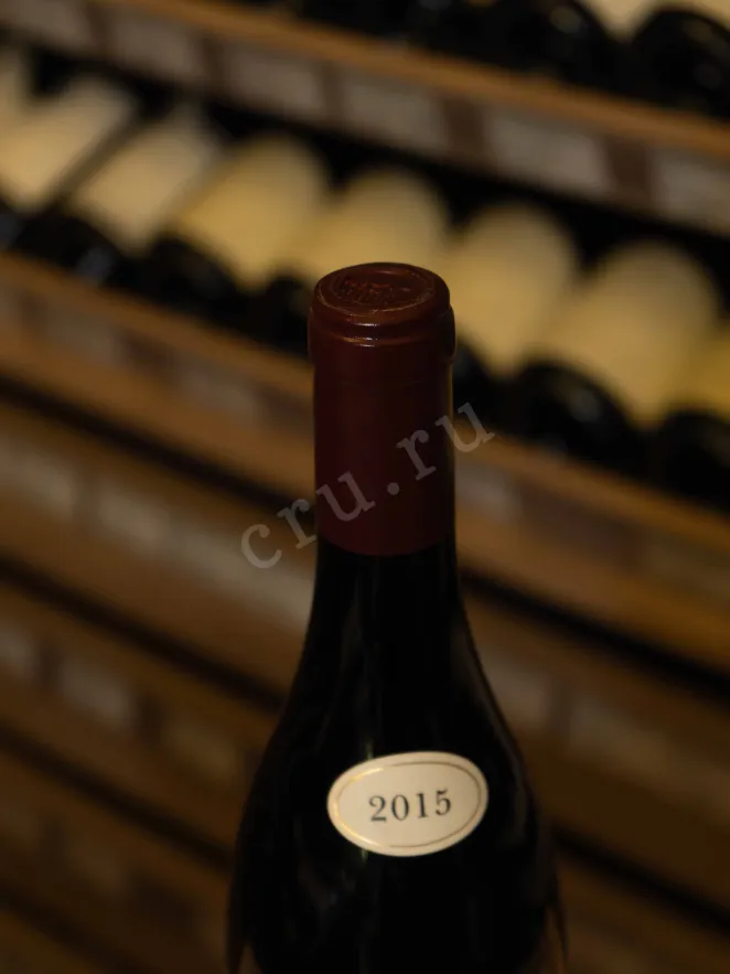 Пробка Nuits-Saint-Georges 1-er Cru Domaine Forey Pere et Fils  Les Perrieres 2015 0.75 л