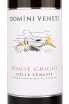 Этикетка вина Domini Veneti Pinot Grigio delle Venezie 0.75 л