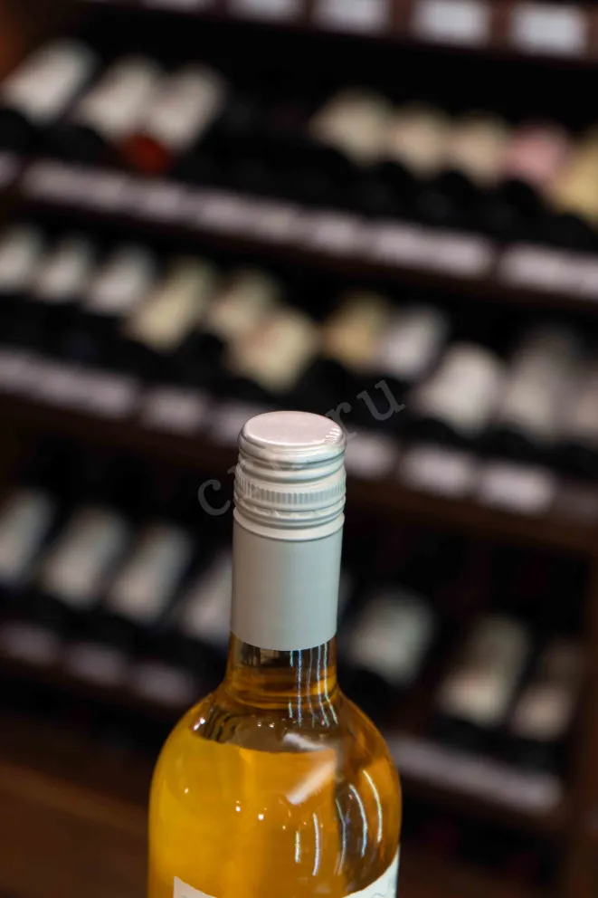 Пробка Bienvenido Munoz Airen-Sauvignon Blanc La Mancha DO 2023 0.75 л