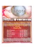 Сигары XO Belicoso 