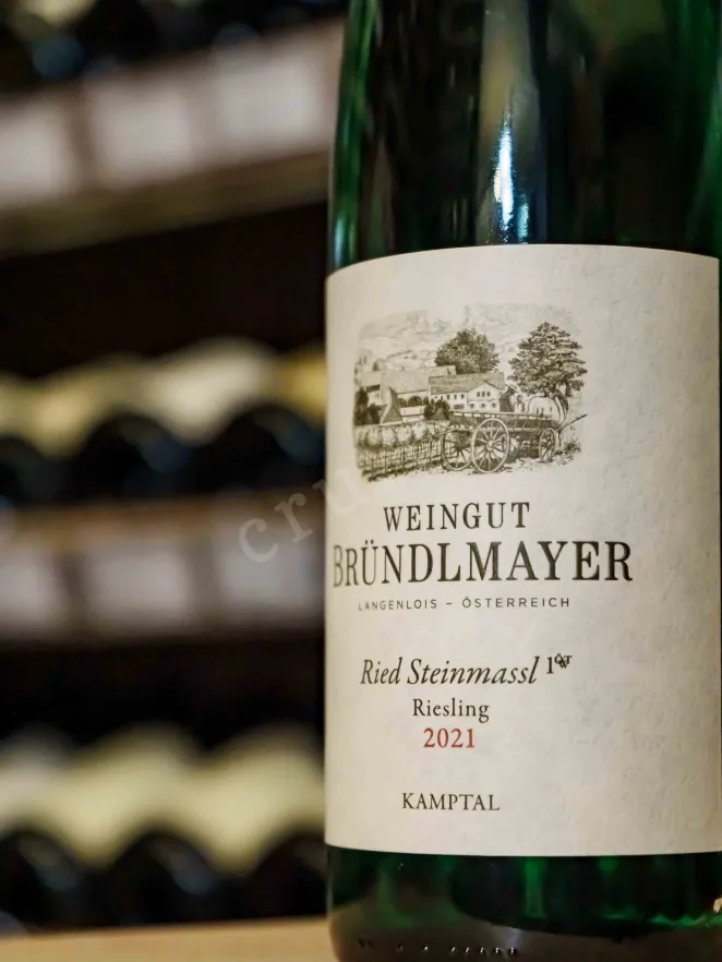 В магазине Крю Профи Weingut Brundlmayer Riesling Ried Steinmassl 10WT 2021 0.75 л