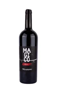 Вино Terre Siciliane Fabio Ferracane Magico Merlot  2021 0.75 л
