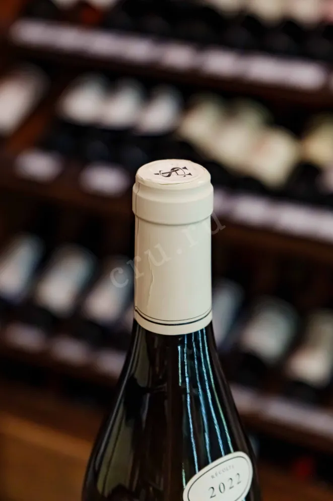 Пробка Albert Sounit Montagny Premier Cru Les Coeres 2022 0.75 л