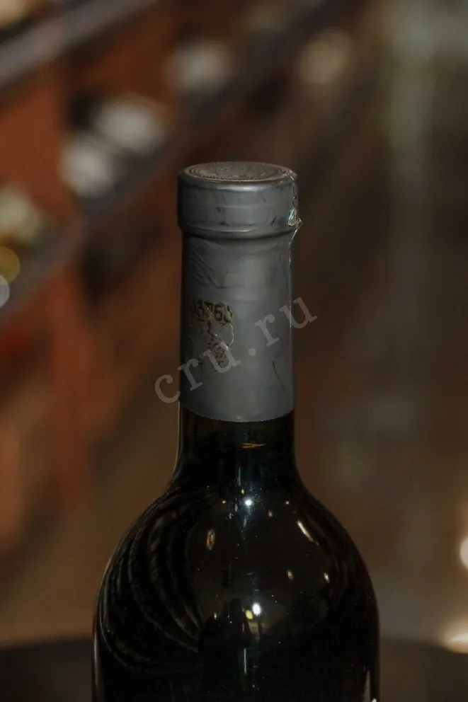 Пробка Aguna Saperavi 2019 0.75 л