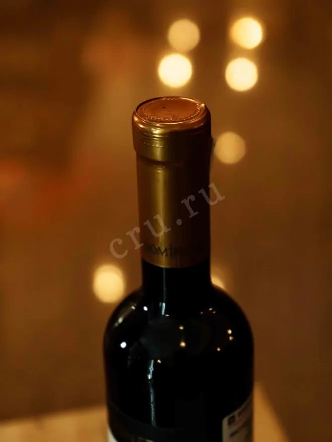 Пробка Domini Veneti Recioto della Valpolicella Classico Vigneti di Moron 2019 0.5 л