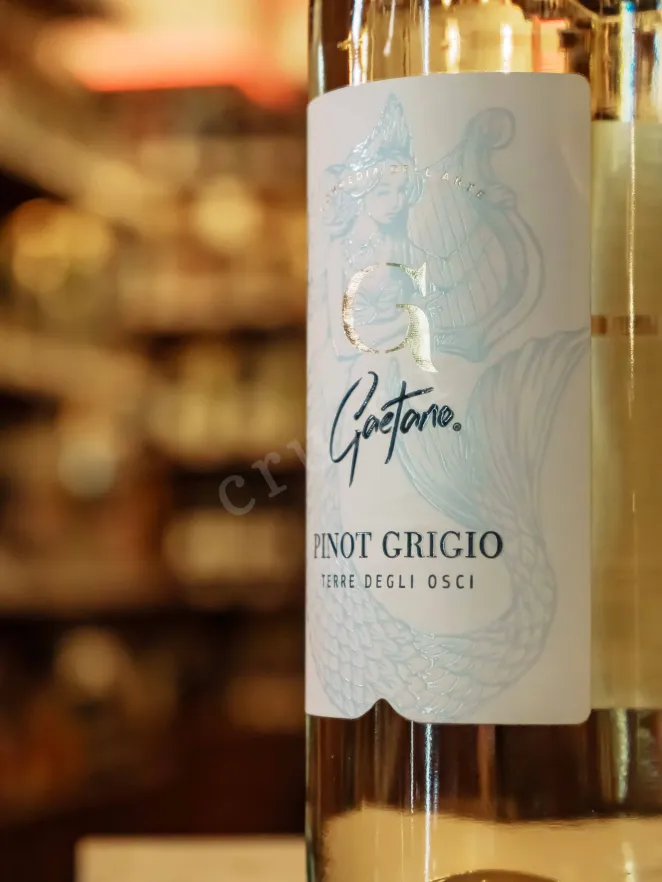 В магазине Крю Профи Gaetano Pinot Grigio Terre Degli Osci 2023 0.75 л