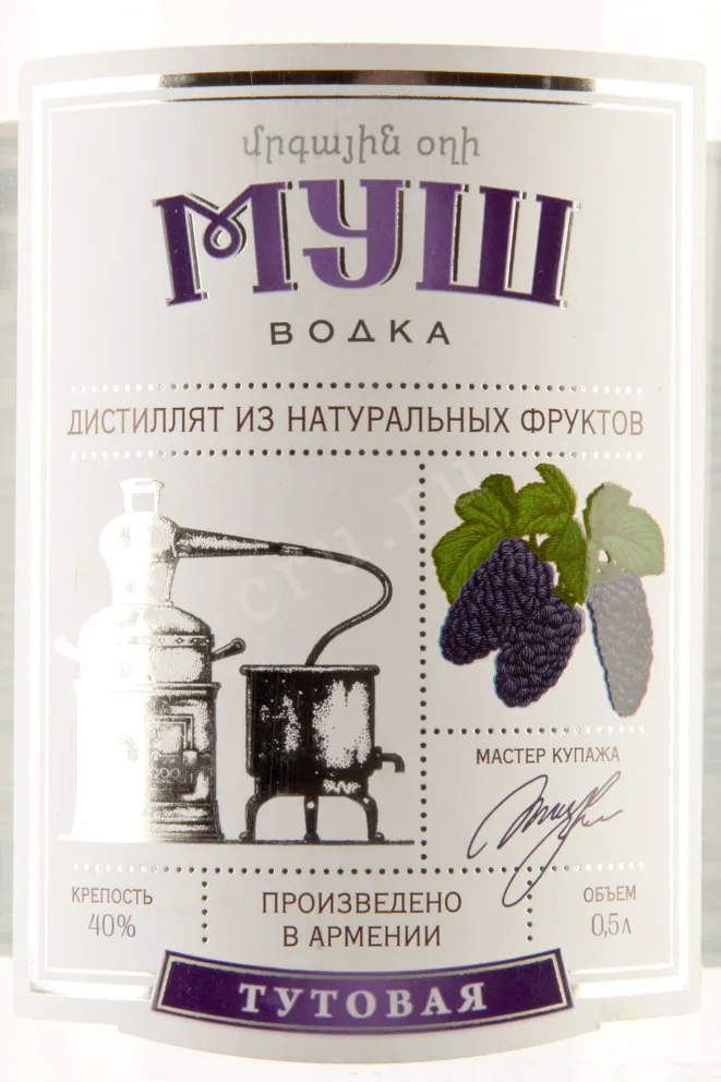 Этикетка Mush Mulberry 0.5 л