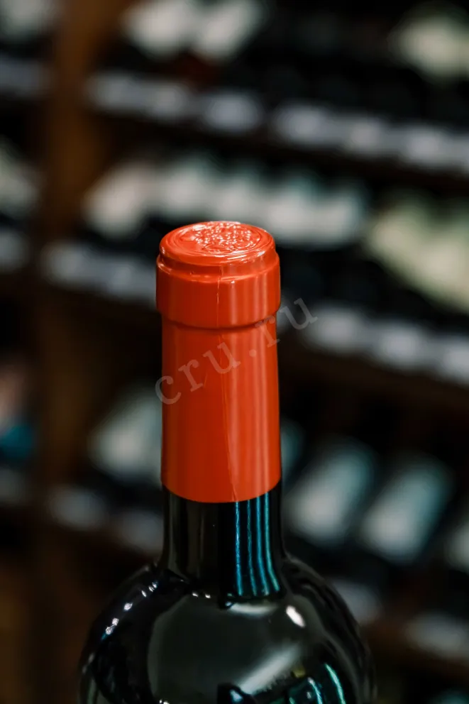 Пробка Salina Tempranillo 2021 0.75 л