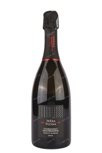 Игристое вино Terra Vizina Prosecco Superiore Conegliano Valdobbiadene Extra Dry 2022 0.75 л