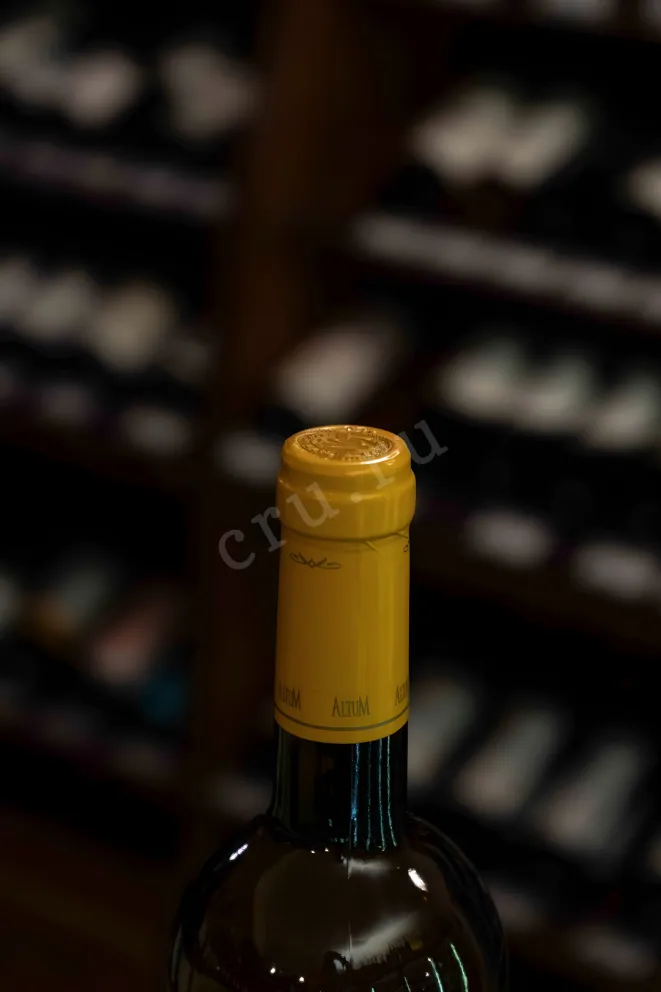 Пробка TerraMater Altum Chardonnay 2022 0.75 л
