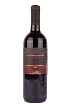 Вино Due Palme Primitivo Salento 2020 0.75 л