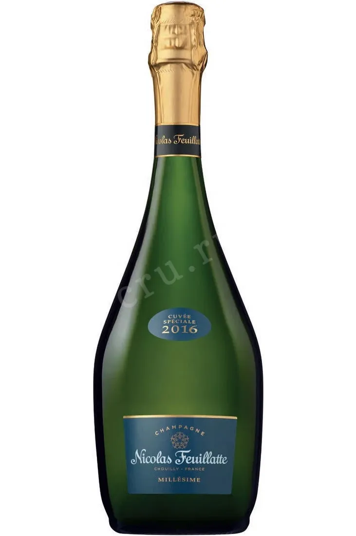 Фото — Шампанское Nicolas Feuillatte Cuvee Speciale Millesime Brut 2016 0.75 л