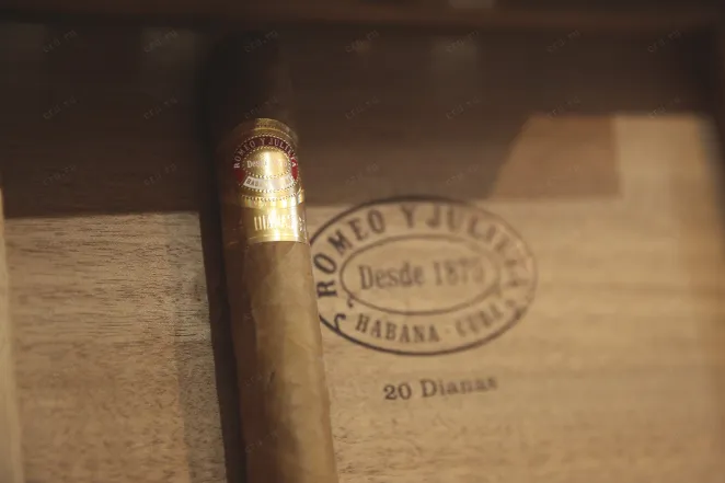 В магазине Крю Профи Romeo y Julieta Dianas *20