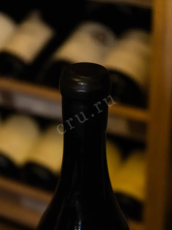 Пробка Paul Chavy Puligny-Montrachet 2021 1.5 л