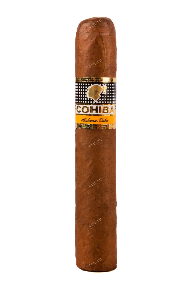 Сигары Cohiba Robustos *25