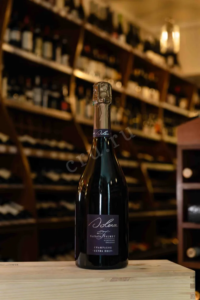 В магазине Крю Профи Nathalie Falmet Cuvee Reverse Perpetuelle 0.75 л