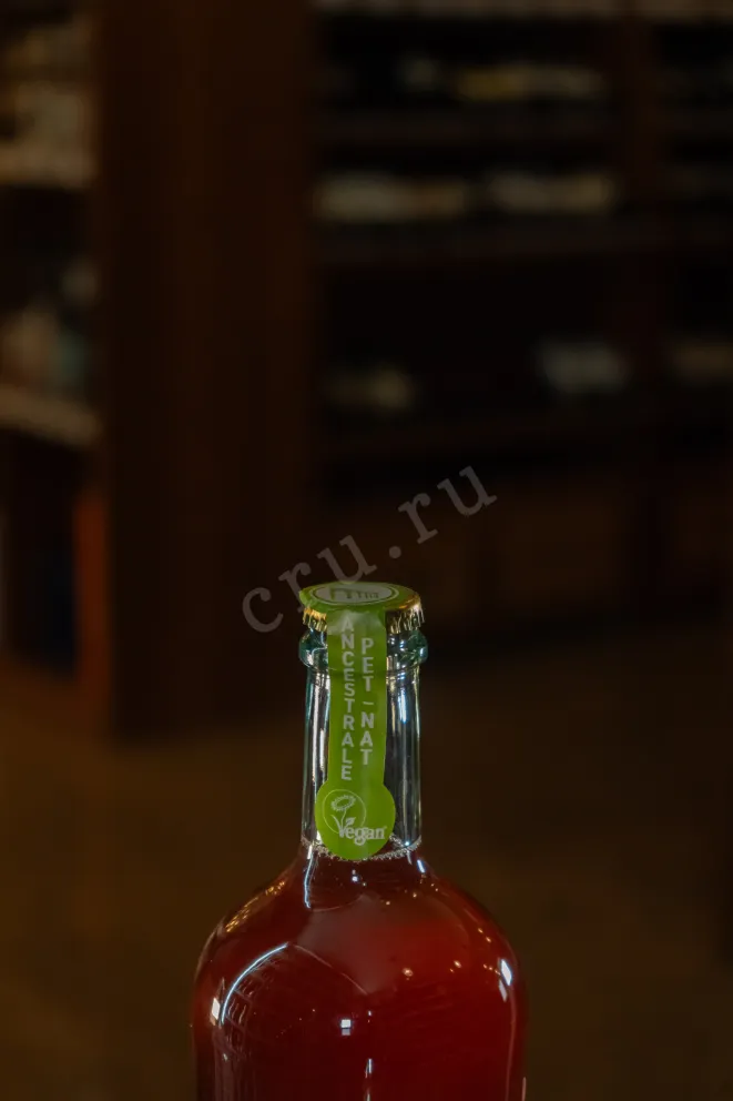 Пробка Pizzolato Piwi Frizzante Hurra 2021 0.75 л