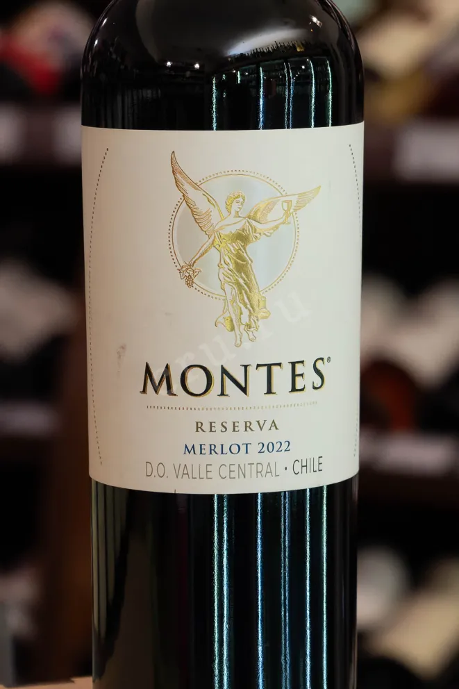 В магазине Крю Профи Montes Reserva Merlot 2022 0.75 л